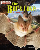 The Bat's Cave: A Dark City