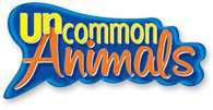 Uncommon Animals