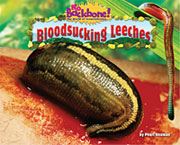 Blood Sucking Leeches
