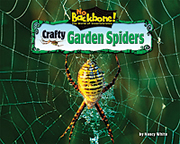 Crafty Garden Spiders