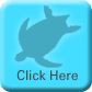 Leatherback Turtle 2